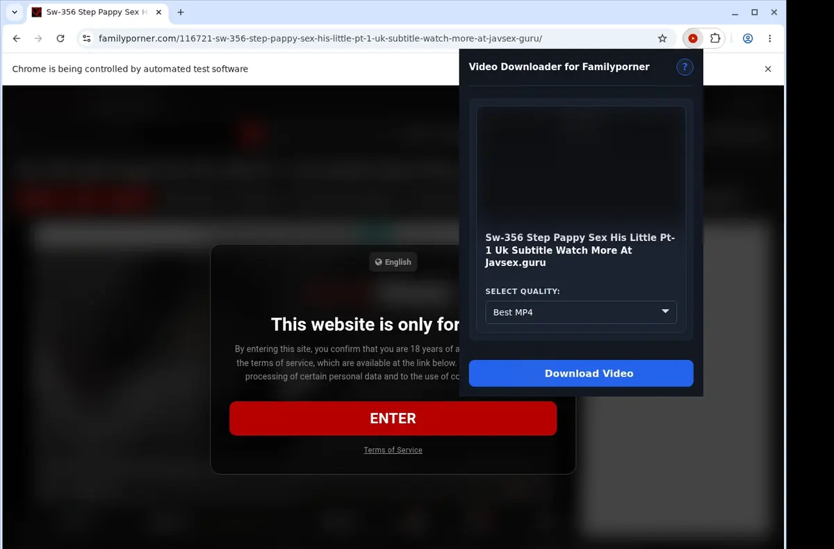 Familyporner.com Video Downloader showing detected media ready to download