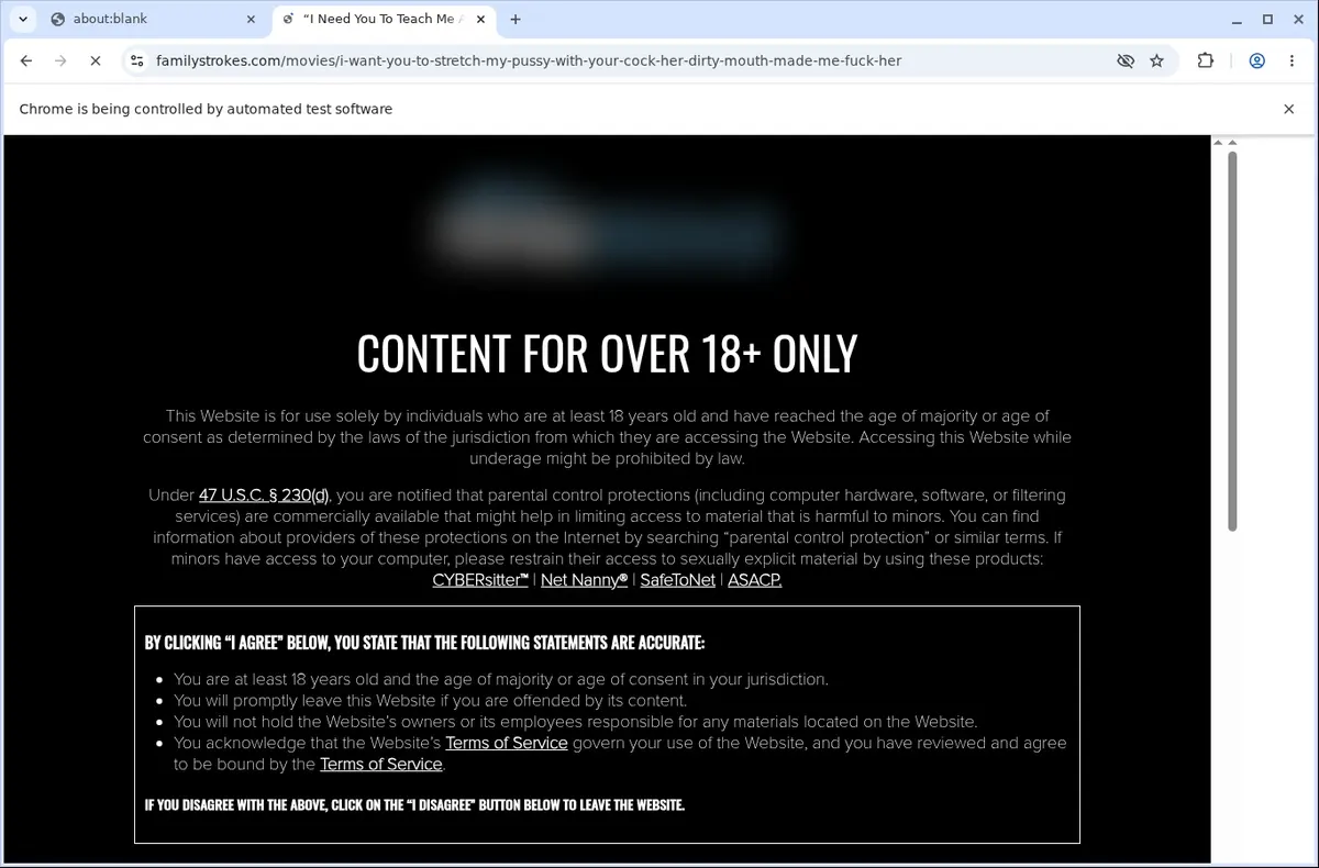 FamilyStrokes Video Downloader page open in the browser