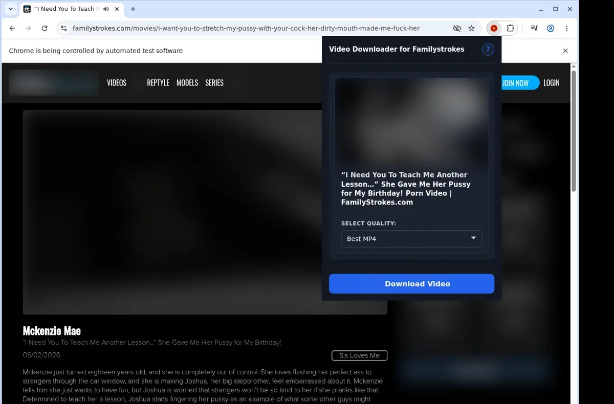 FamilyStrokes Video Downloader showing detected media ready to download
