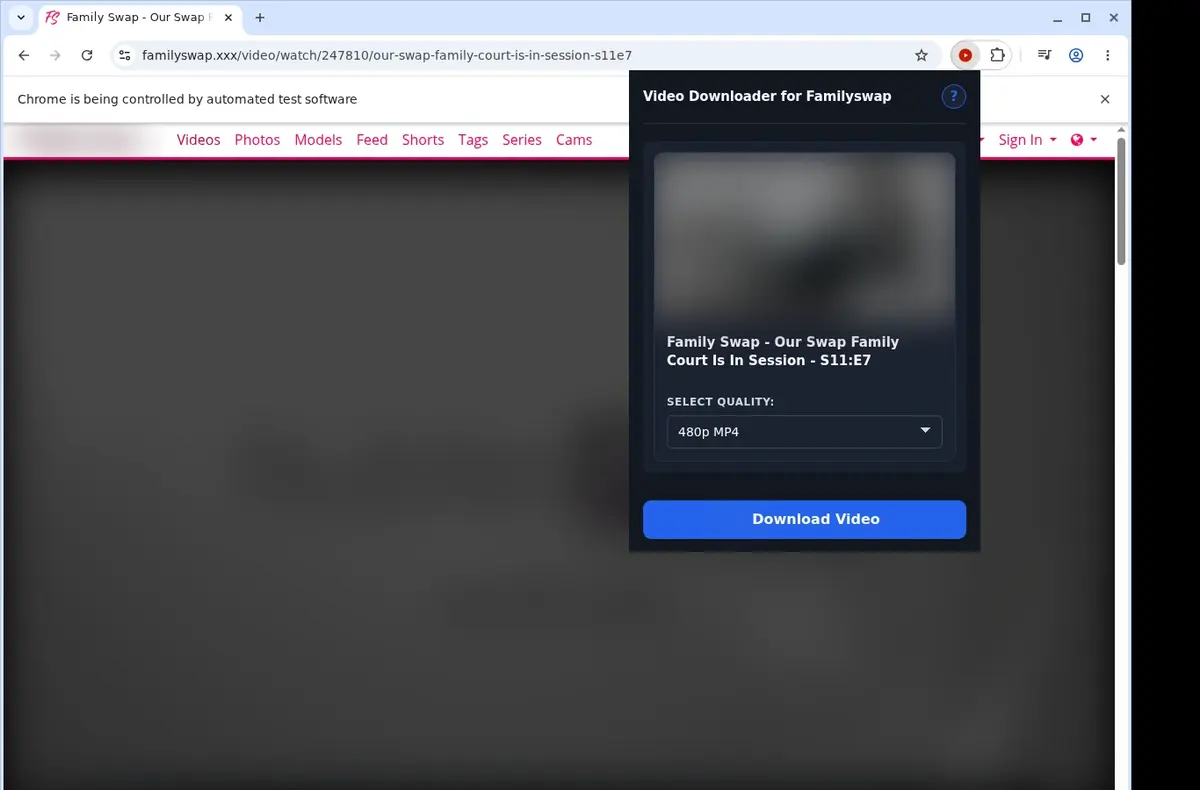 FamilySwap Video Downloader showing detected media ready to download