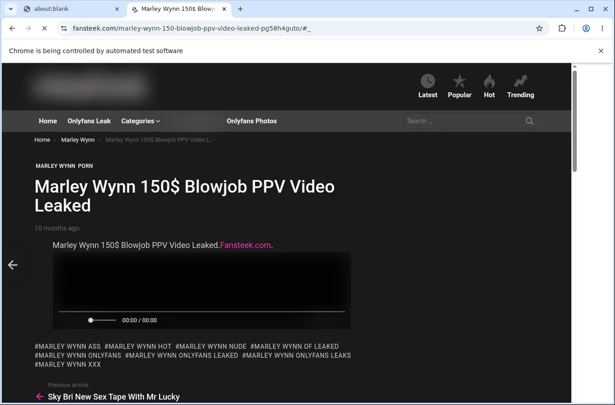 Fansteek Video Downloader page open in the browser