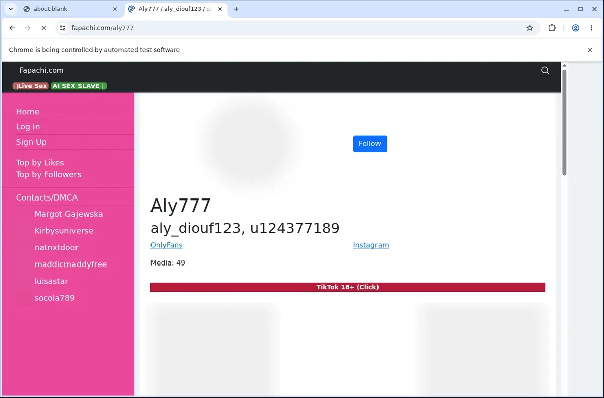 Fapachi Video Downloader page open in the browser