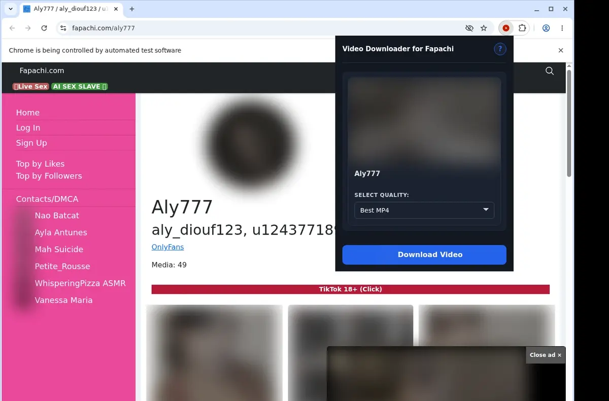 Fapachi Video Downloader showing detected media ready to download