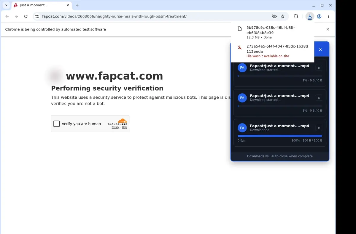 Fapcat Downloader download progress panel