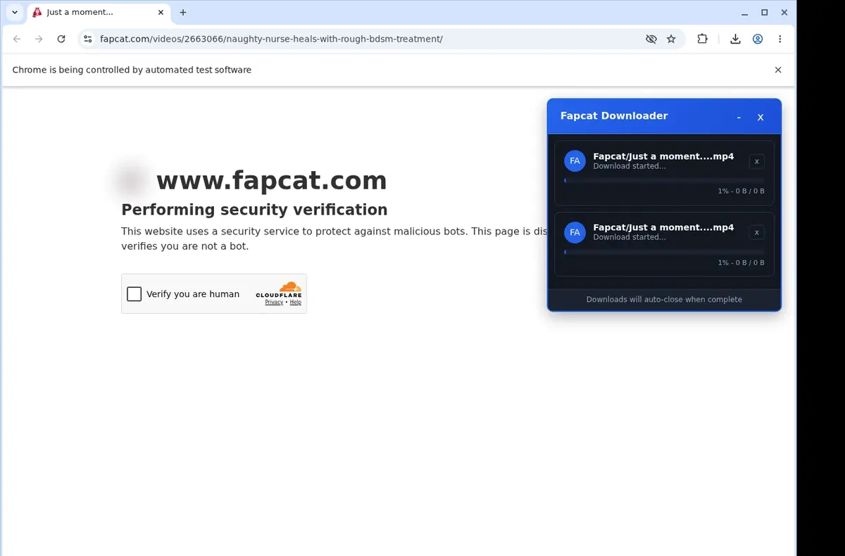 Fapcat Downloader showing detected media ready to download