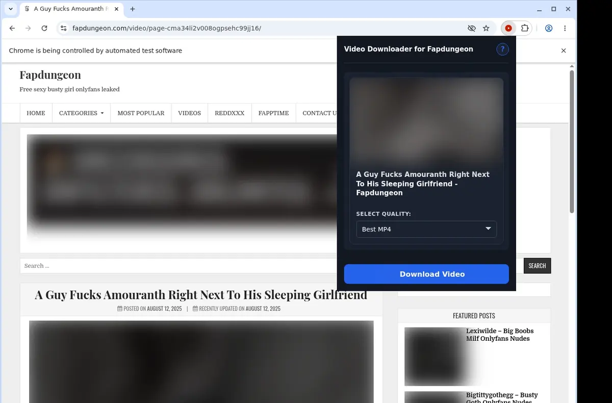 FapDungeon Video Downloader showing detected media ready to download