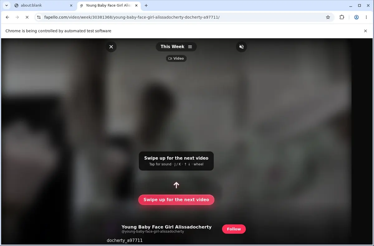 Fapello Downloader page open in the browser