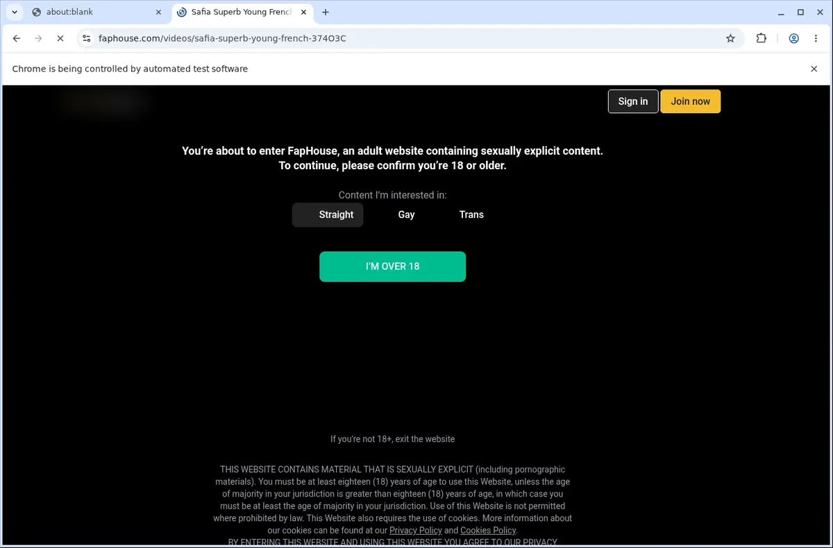 FapHouse Video Downloader page open in the browser