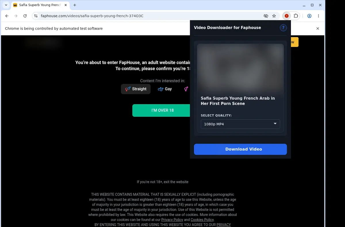 FapHouse Video Downloader showing detected media ready to download