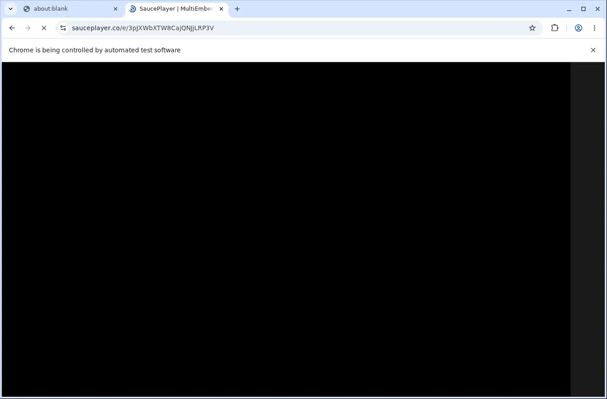 Faply Video Downloader page open in the browser