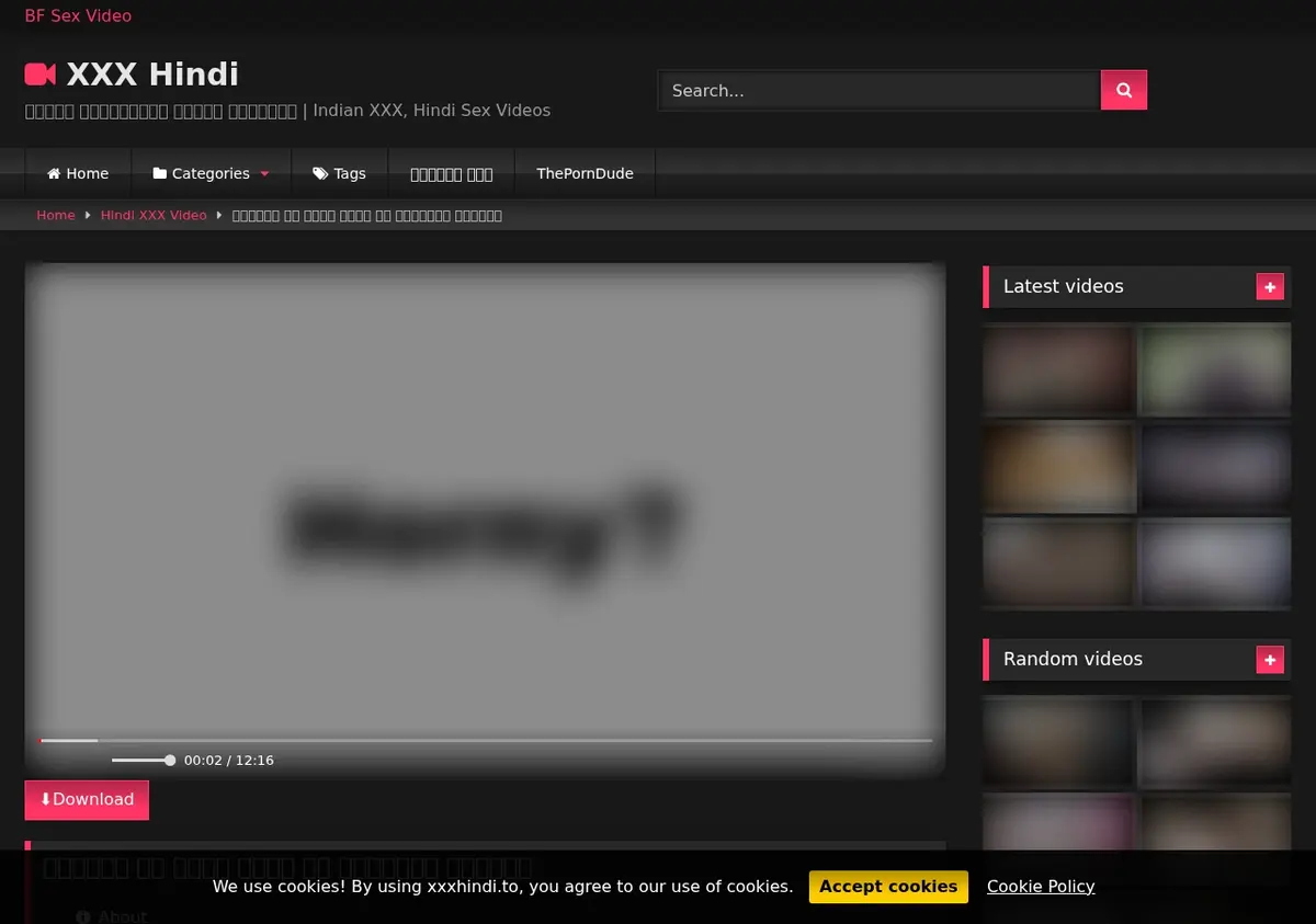 FapMeIfYouCan Video Downloader showing detected media ready to download