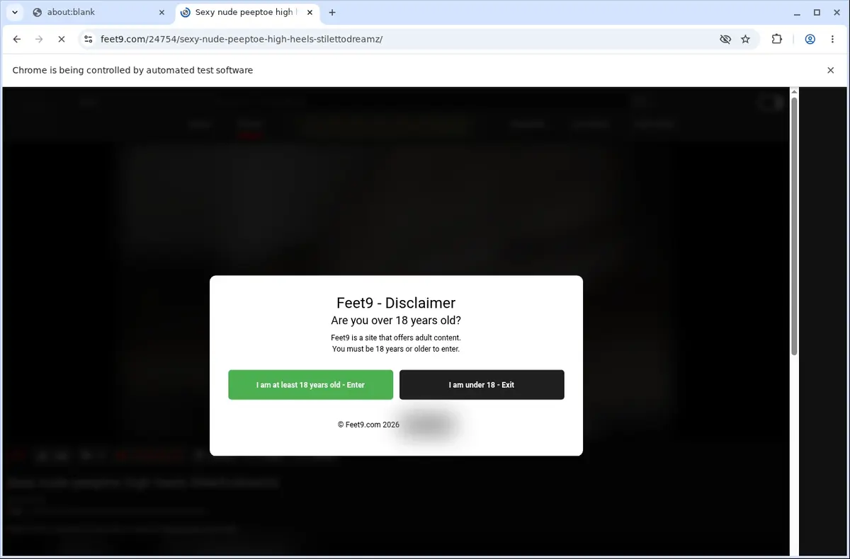 Feet9 Video Downloader page open in the browser