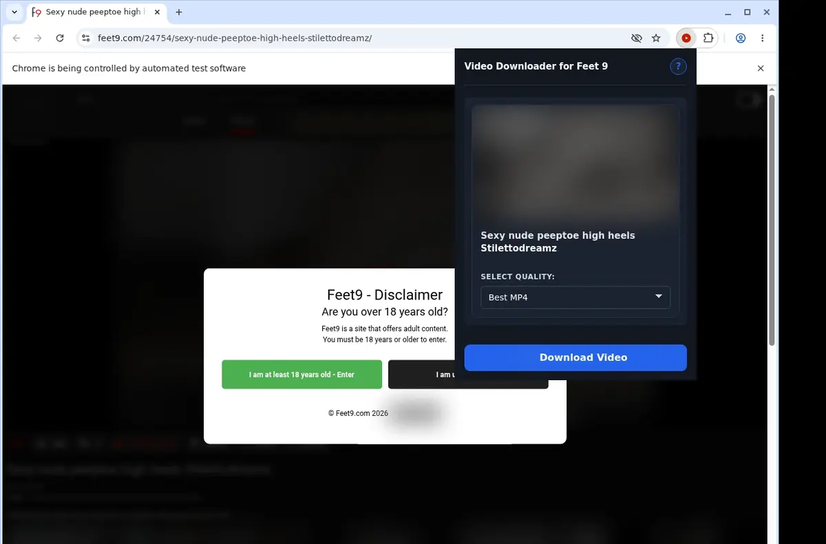 Feet9 Video Downloader showing detected media ready to download