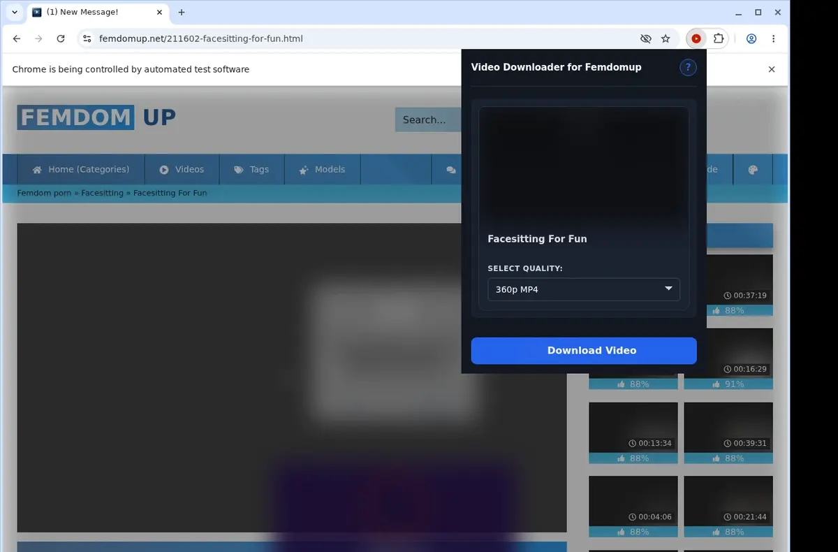 FemdomUp Video Downloader showing detected media ready to download