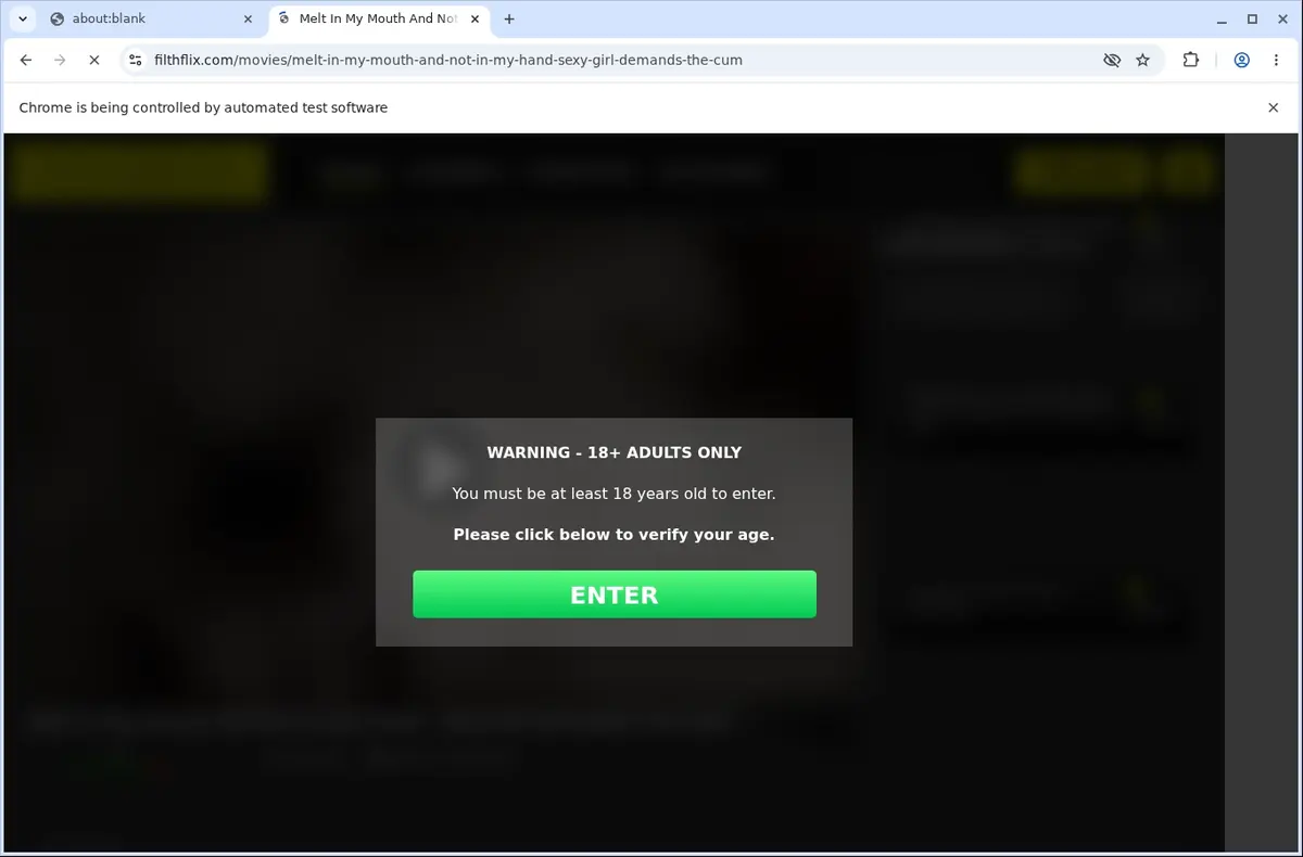 FilthFlix Video Downloader page open in the browser