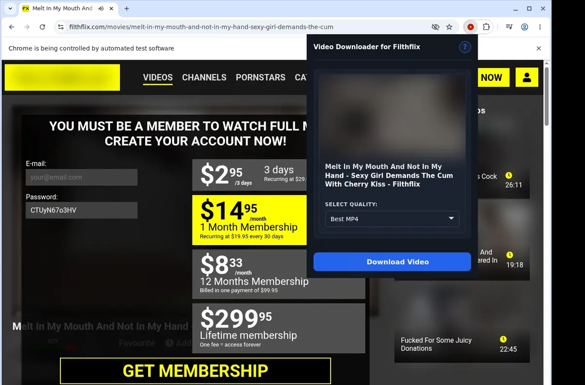 FilthFlix Video Downloader showing detected media ready to download