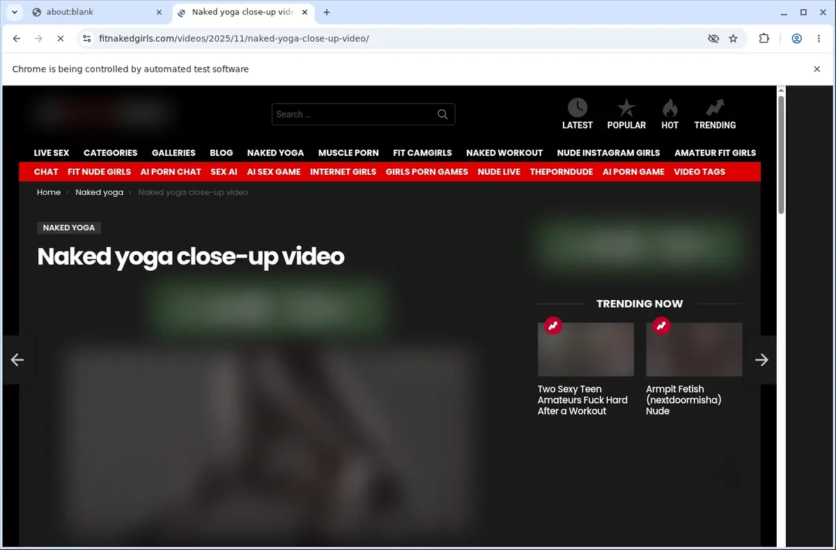 FitNakedGirls Video Downloader page open in the browser