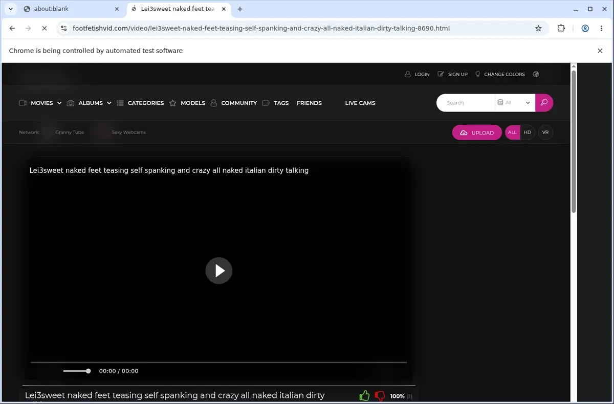 Foot Fetish Vid Downloader page open in the browser
