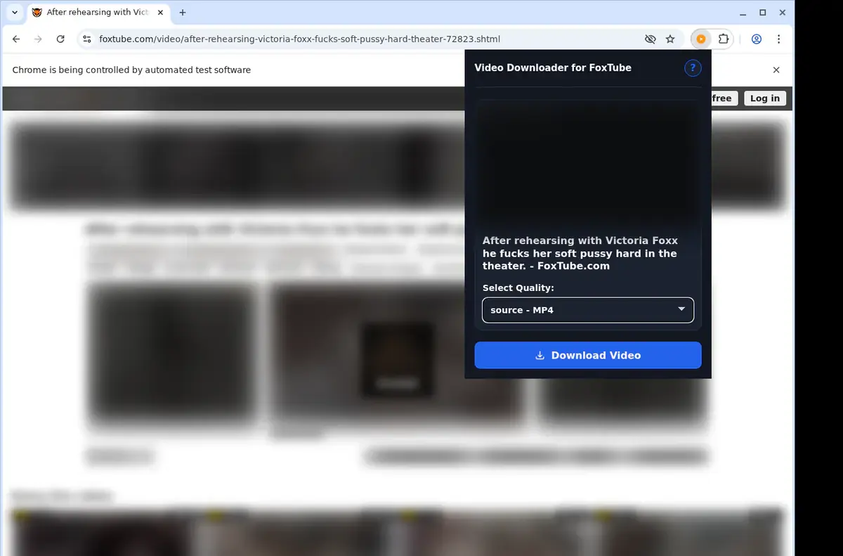 FoxTube Downloader showing detected media ready to download