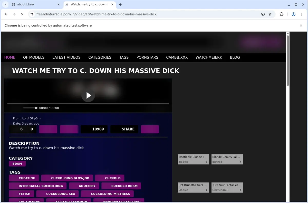 FreeHDInterracialPorn.in Video Downloader page open in the browser