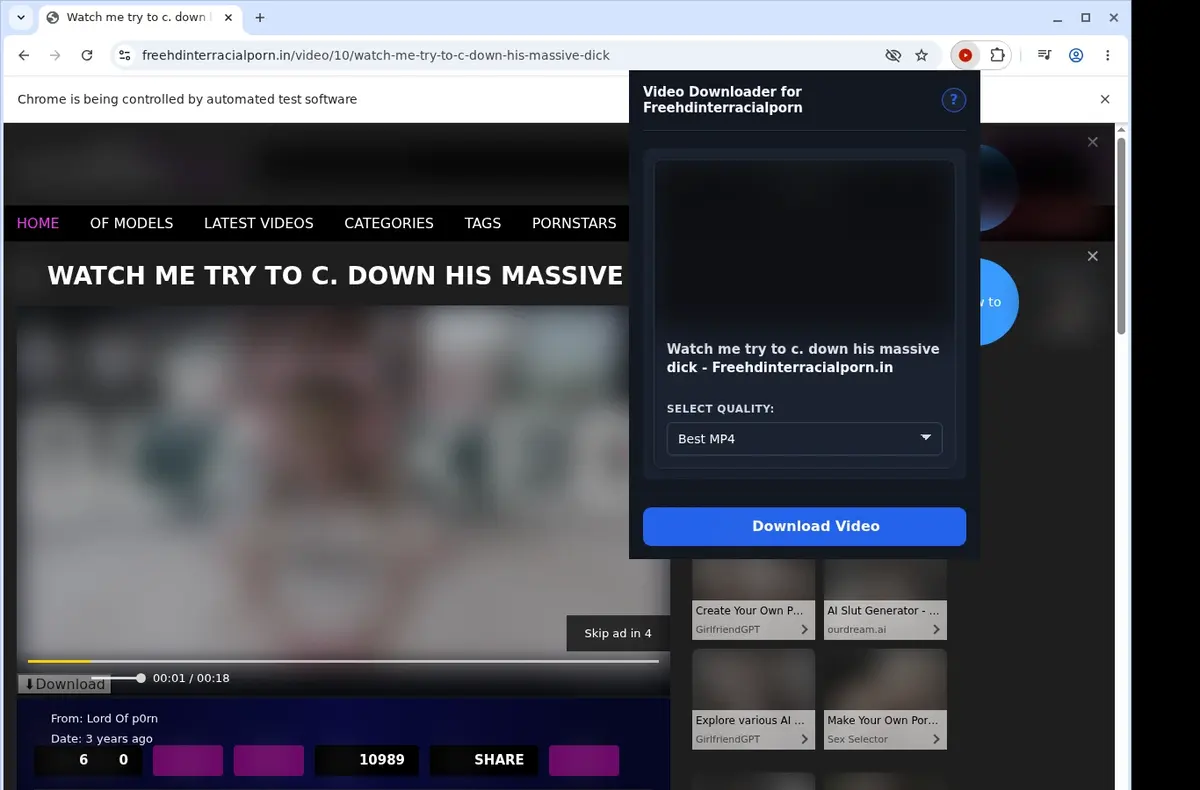 FreeHDInterracialPorn.in Video Downloader showing detected media ready to download