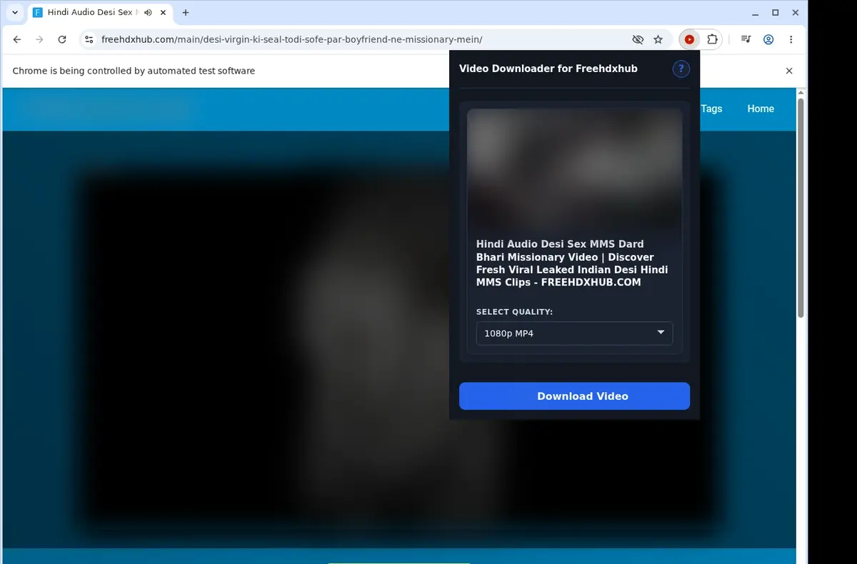 FreeHDXHub Video Downloader showing detected media ready to download