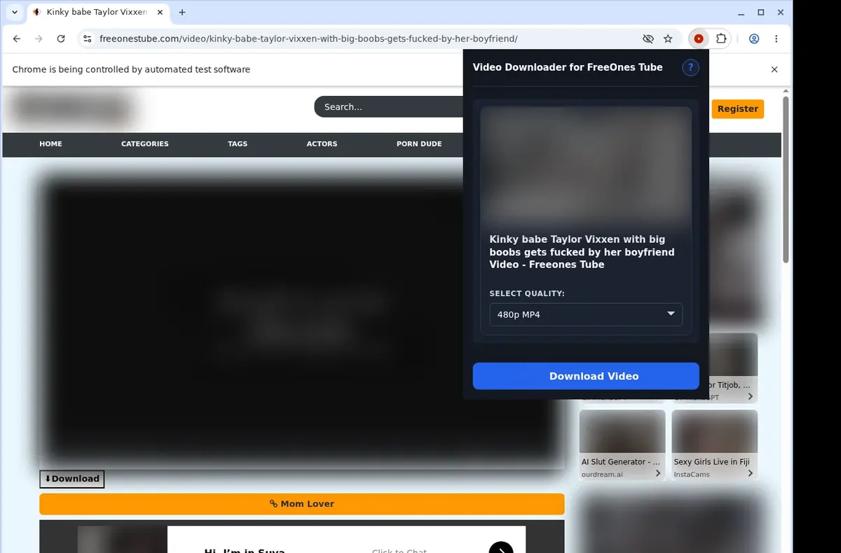 FreeOnes Tube Downloader showing detected media ready to download