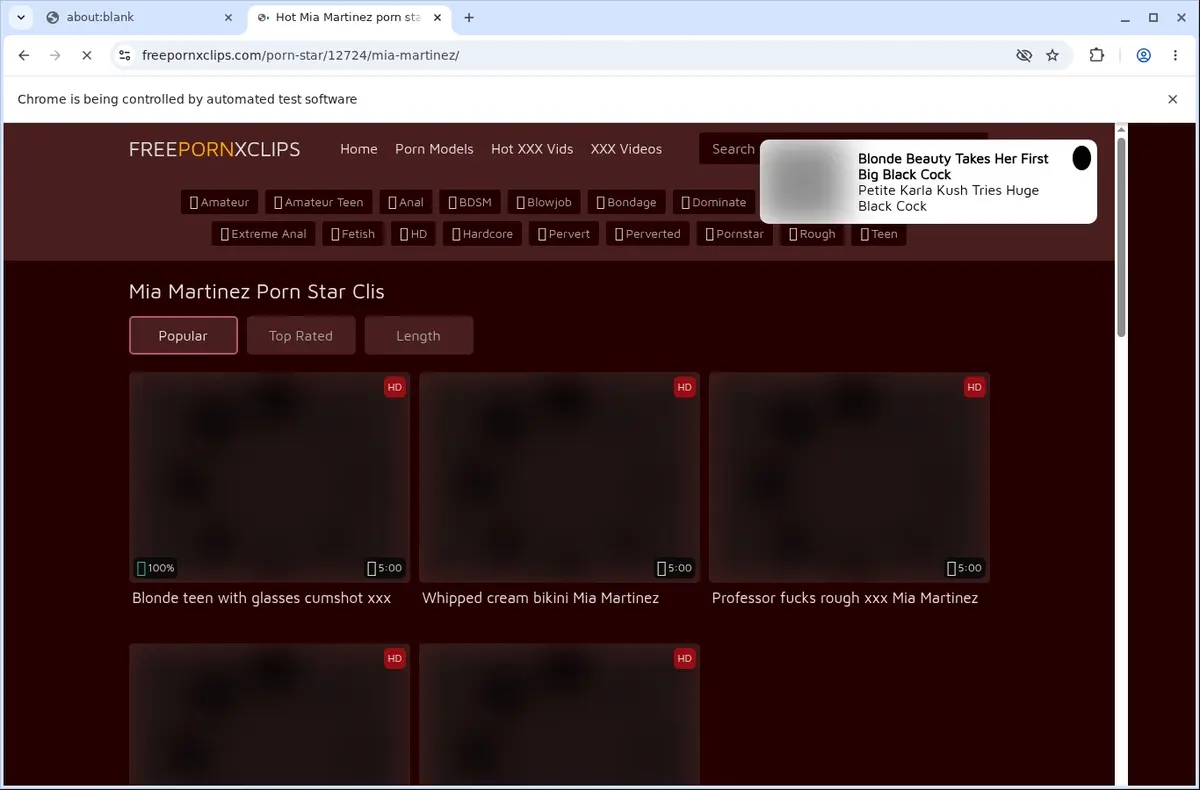 FreePornXClips Downloader page open in the browser