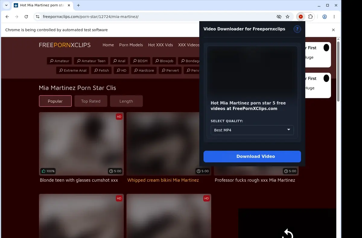 FreePornXClips Downloader showing detected media ready to download