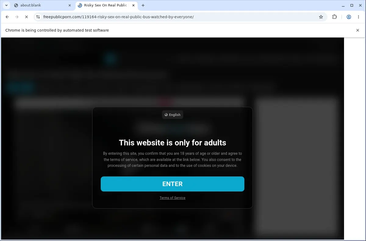 FreePublicPorn Video Downloader page open in the browser