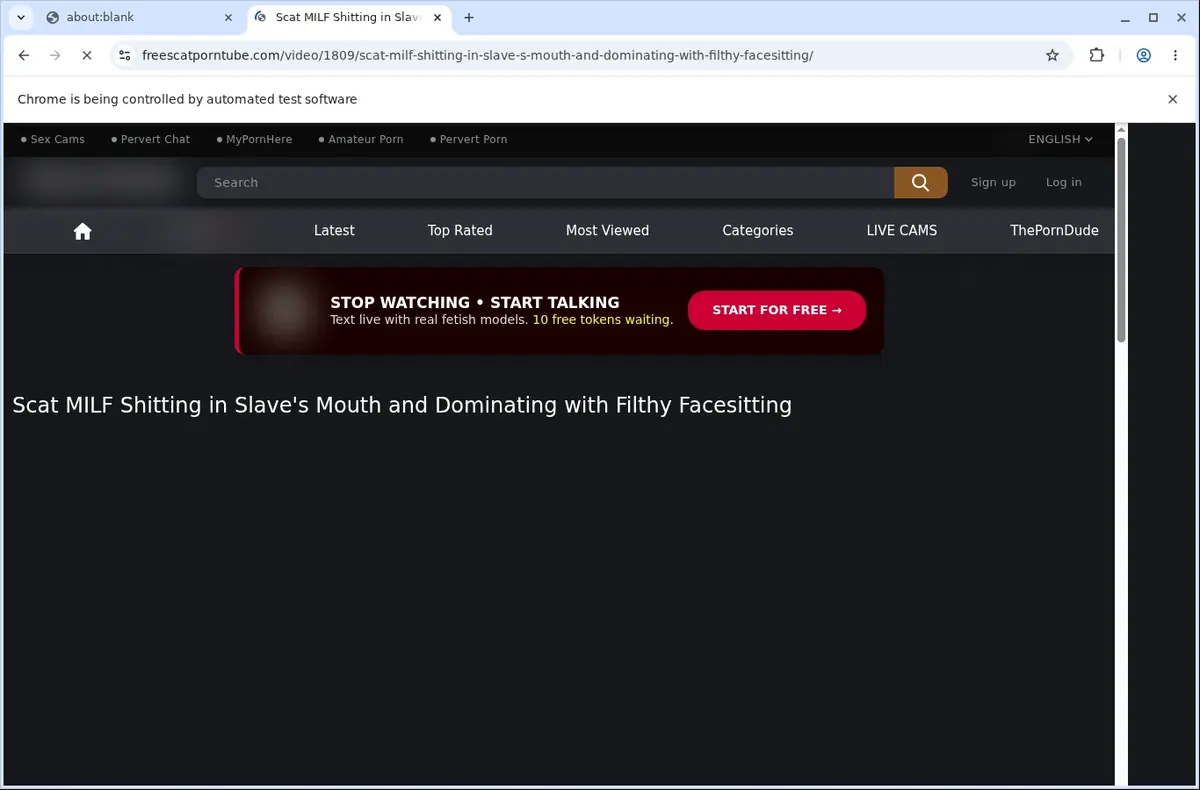 FreeScatPornTube Video Downloader page open in the browser