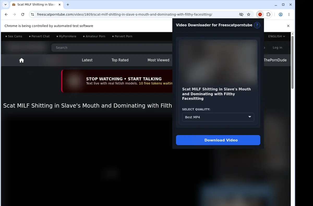 FreeScatPornTube Video Downloader showing detected media ready to download