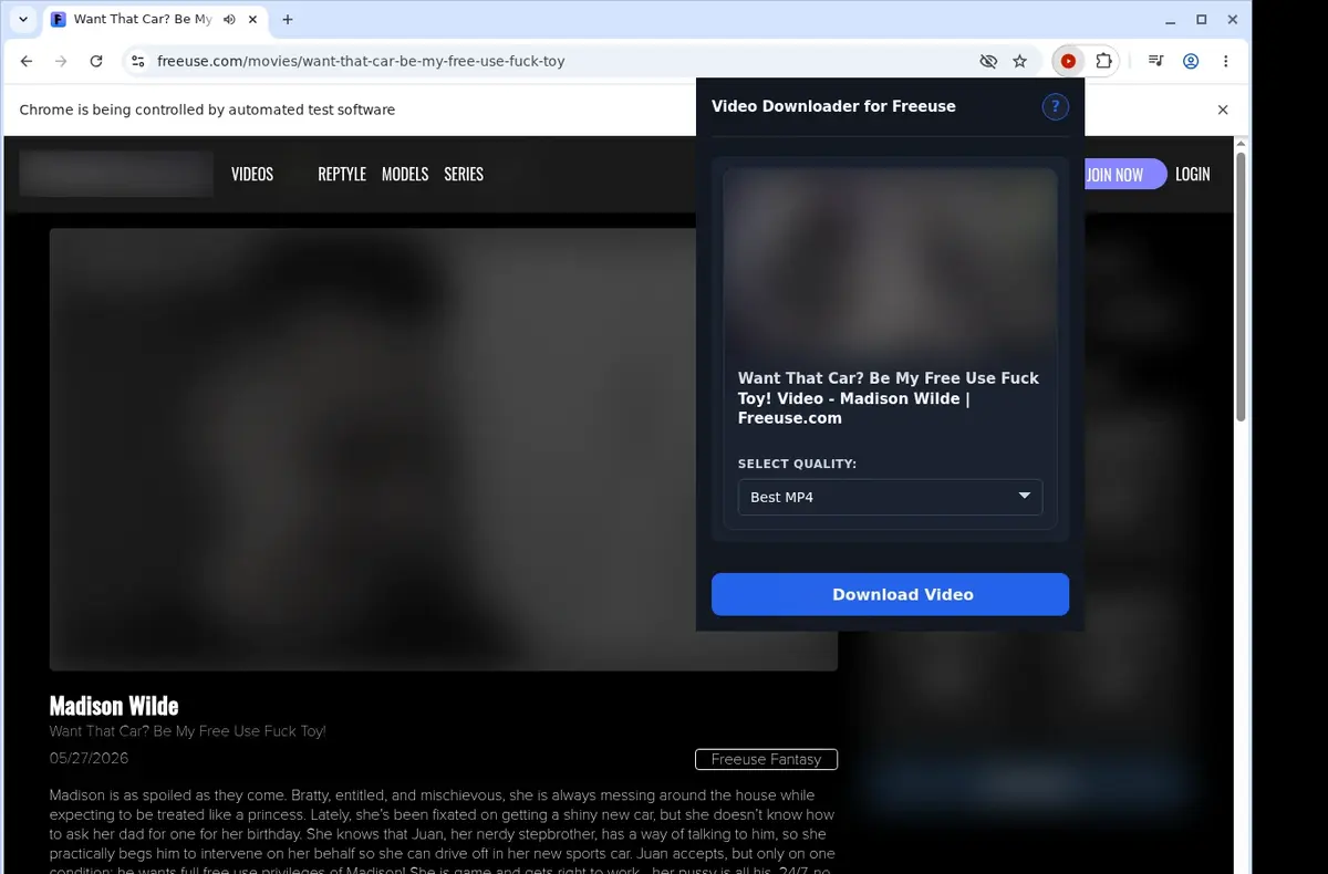 Freeuse Video Downloader showing detected media ready to download