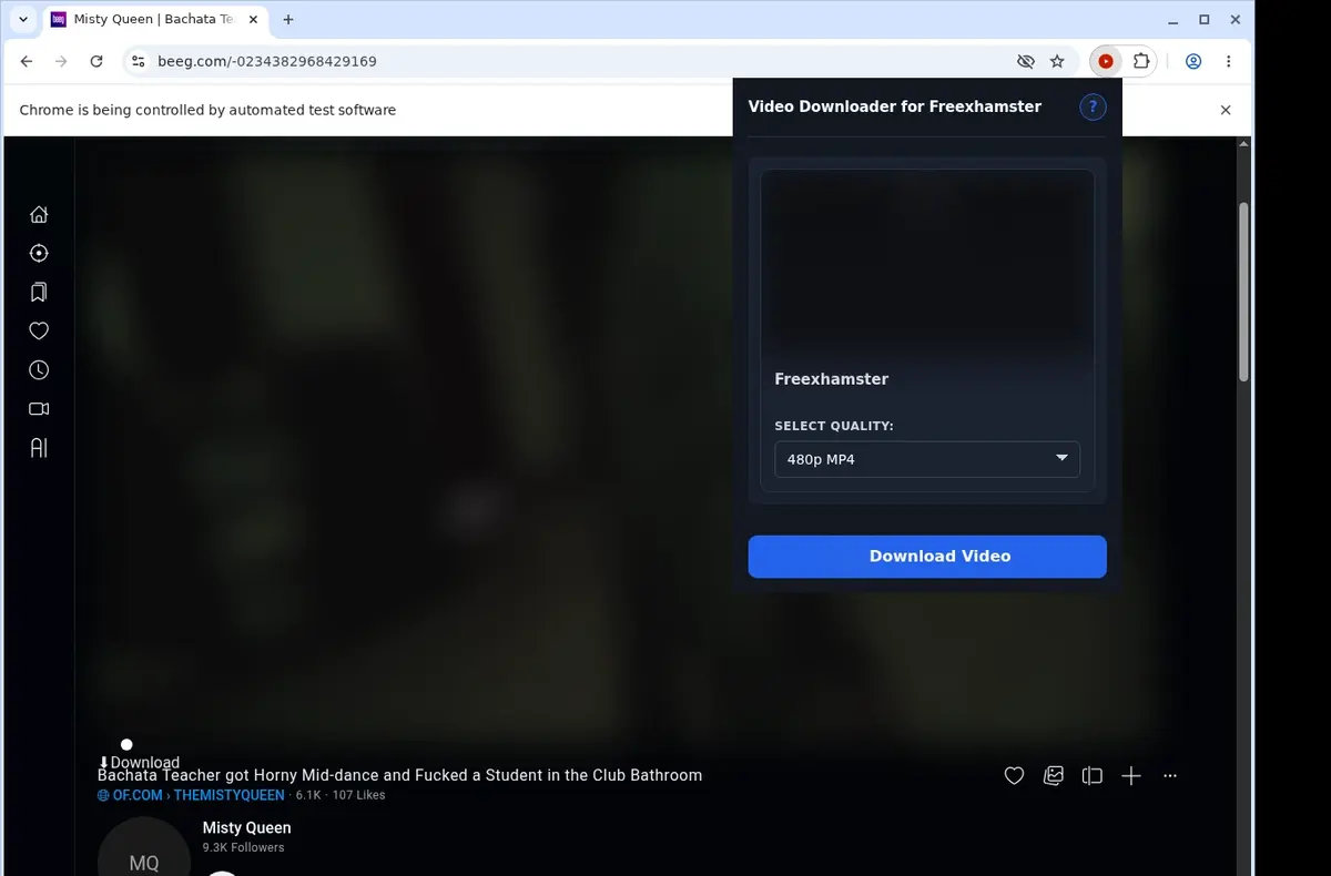 Freexhamster Downloader showing detected media ready to download