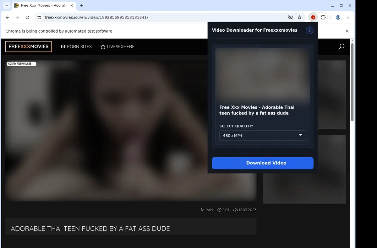 FreeXXXMovies Downloader showing detected media ready to download