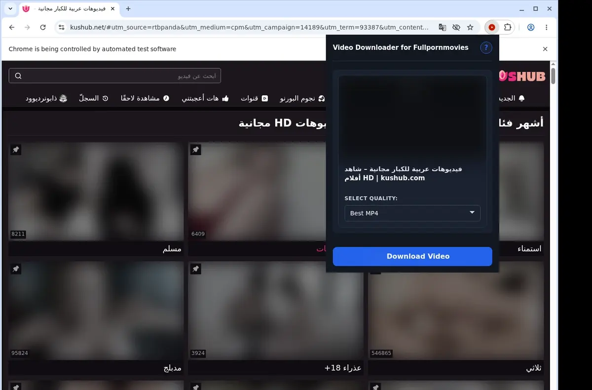 Fullpornmovies Video Downloader showing detected media ready to download