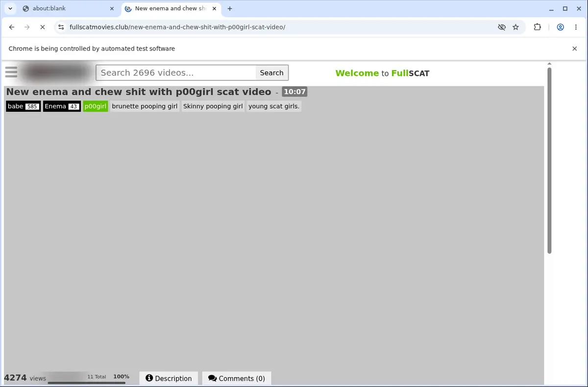 Fullscatmovies Downloader page open in the browser