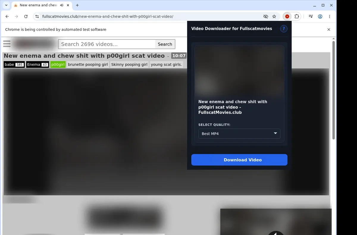 Fullscatmovies Downloader showing detected media ready to download