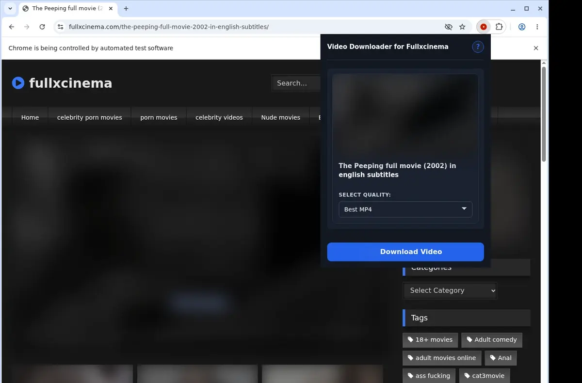 FullXCinema Video Downloader showing detected media ready to download