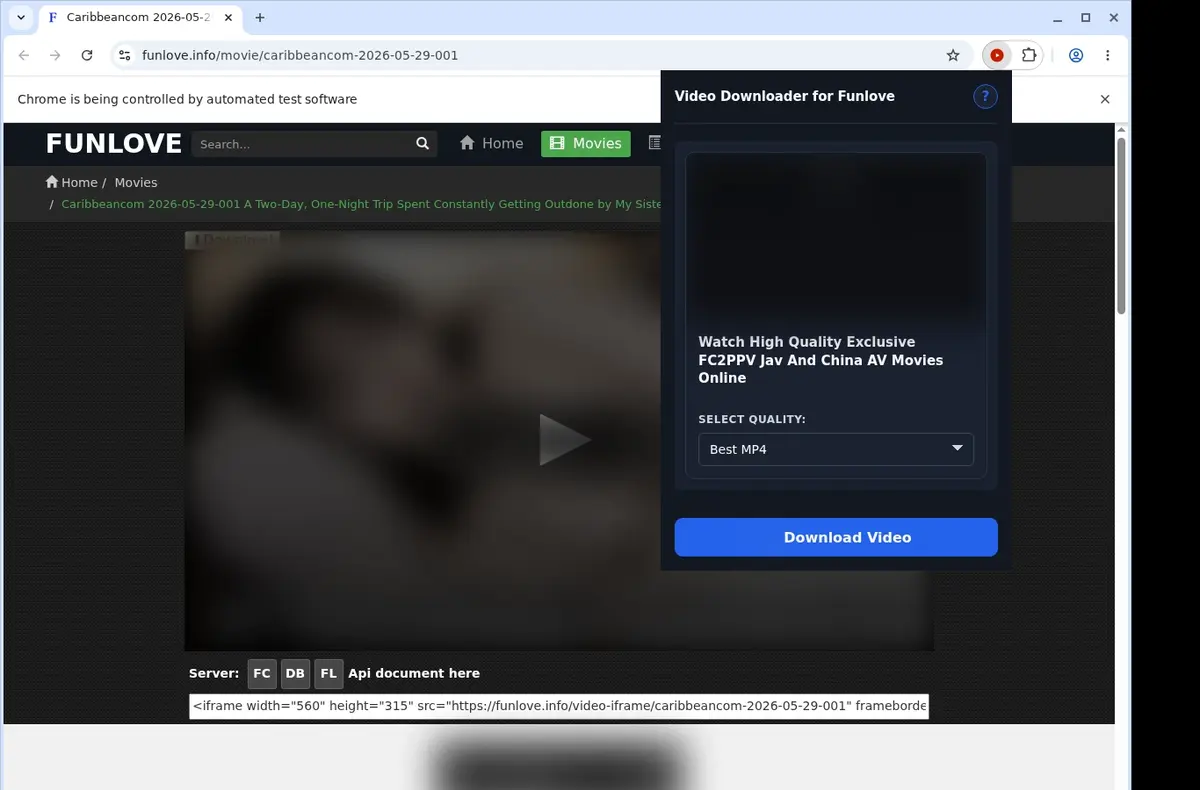Funlove Video Downloader showing detected media ready to download