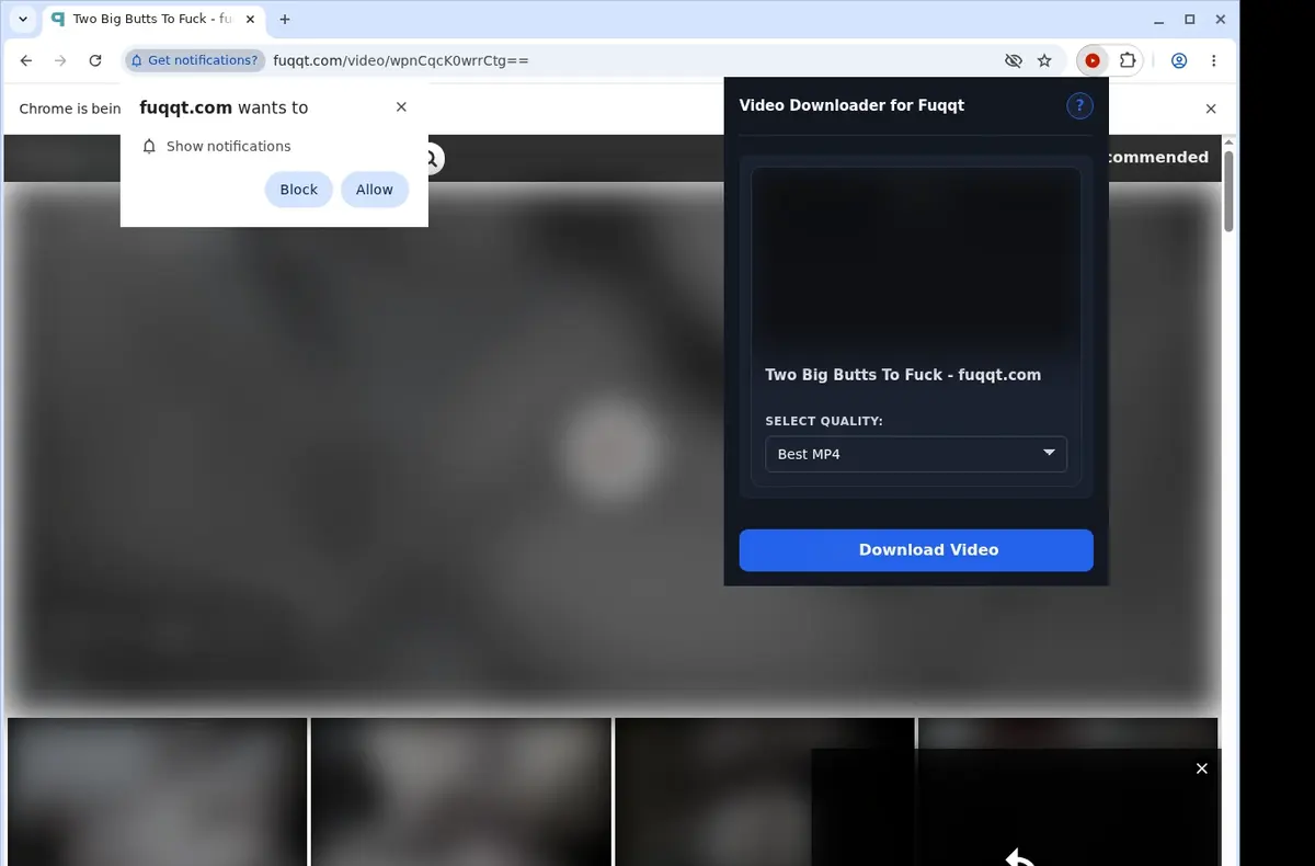 Fuqqt Video Downloader showing detected media ready to download