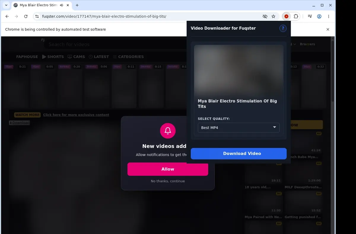 Fuqster Video Downloader showing detected media ready to download