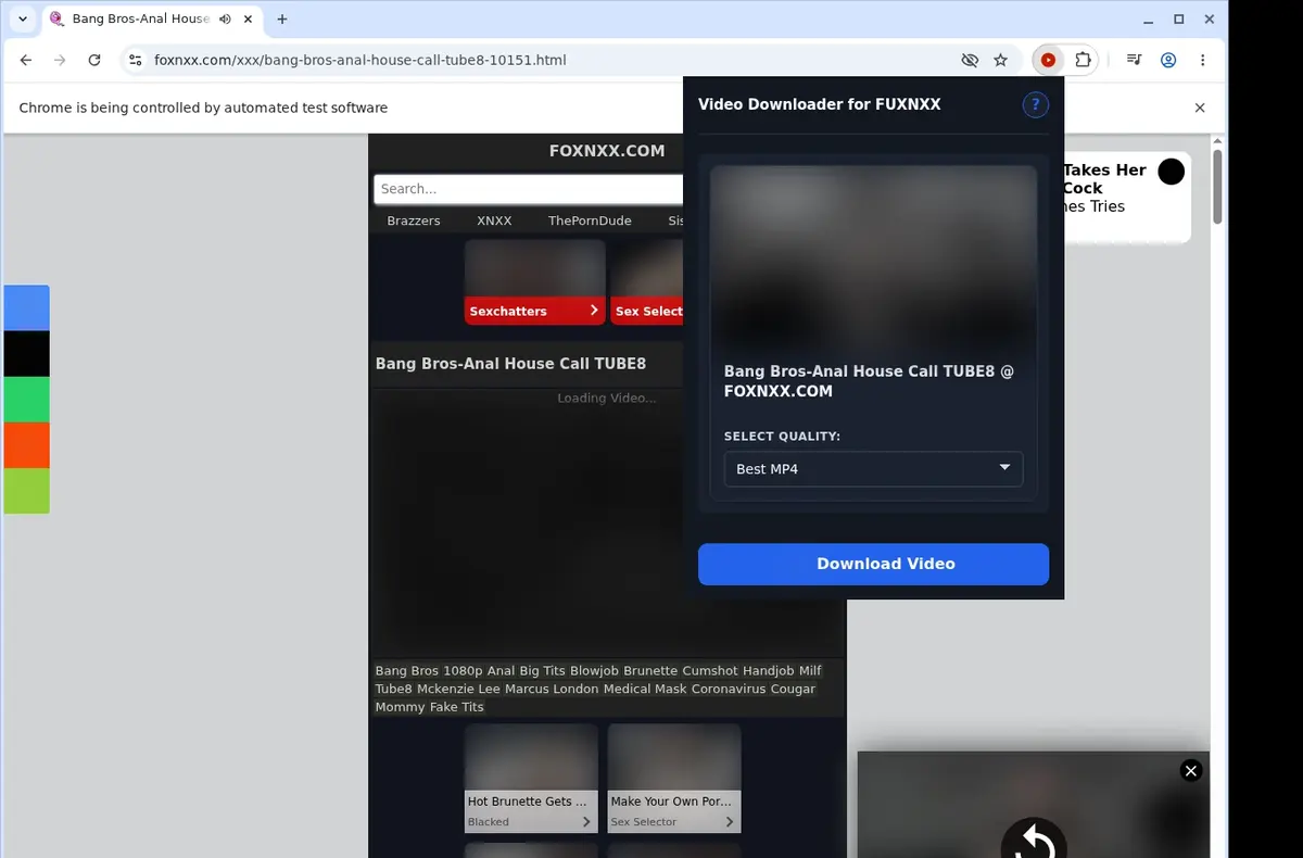 FUXNXX Downloader showing detected media ready to download