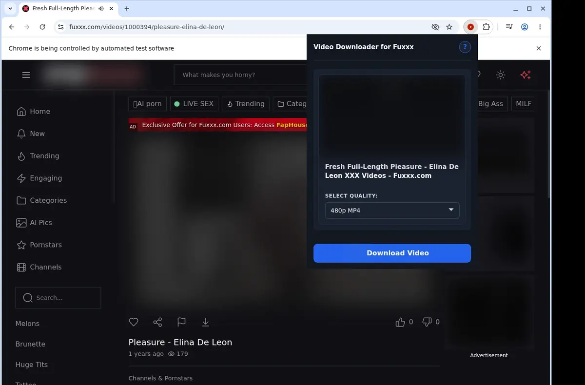 Fuxxx Downloader showing detected media ready to download