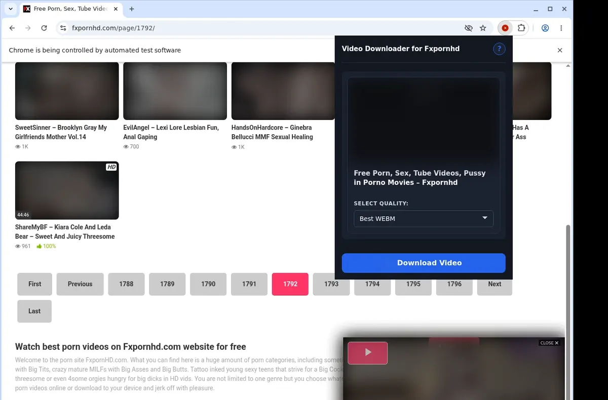 Fxpornhd Downloader showing detected media ready to download