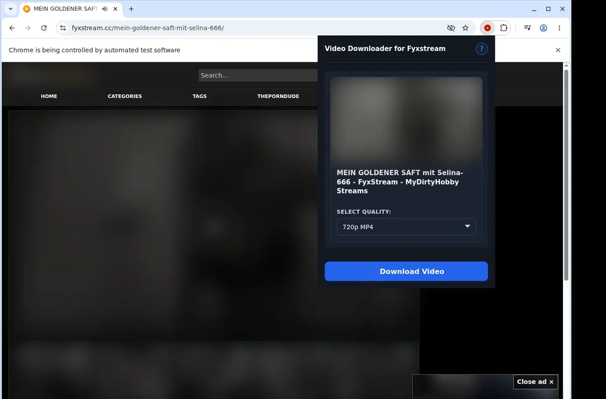 Fyxstream Video Downloader showing detected media ready to download