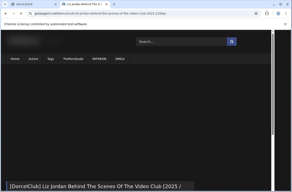 GalaxyPorn Downloader page open in the browser
