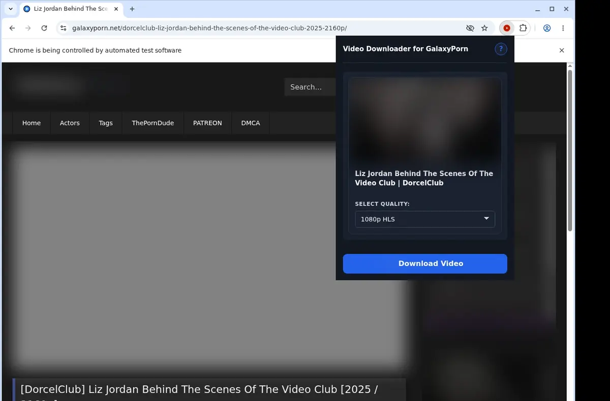 GalaxyPorn Downloader showing detected media ready to download