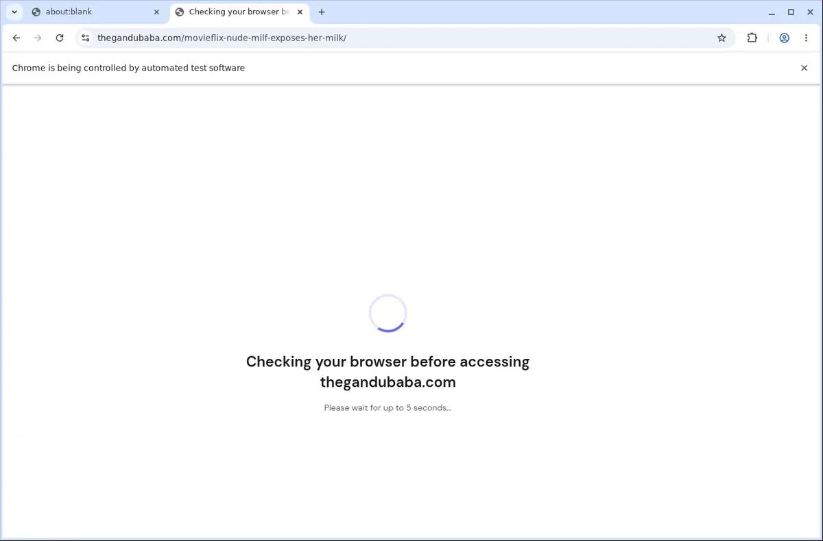 Gandubaba Video Downloader page open in the browser