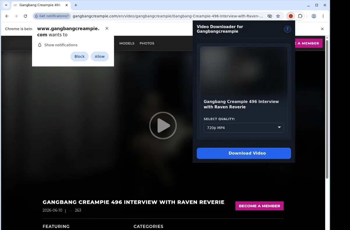 Gangbang Creampie Video Downloader showing detected media ready to download